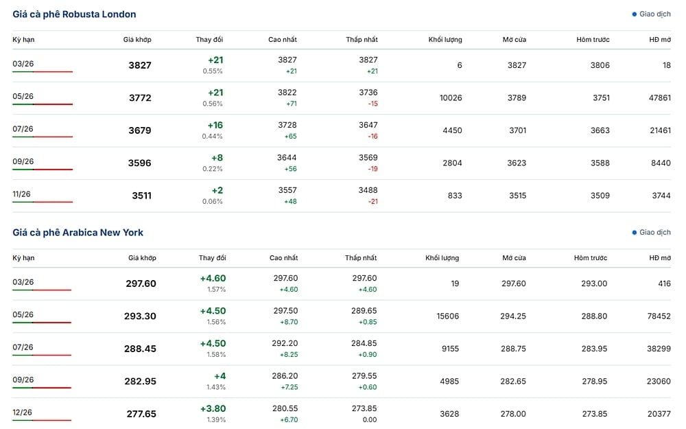 Giá Arabica và Robusta ngày 9/3/2026 mới nhất