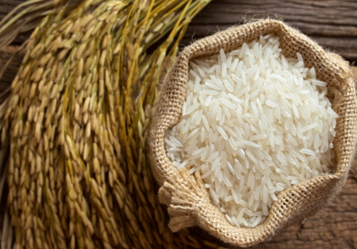 Giá Lúa Gạo Ngày 25/3/2026: Cái Nhìn Toàn Diện Từ Sông Cửu Long