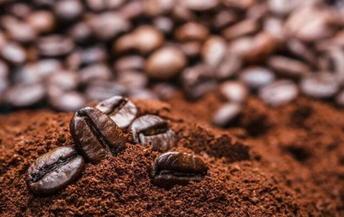 Giá nông sản 28/3/2026: Cập nhật mới nhất về thị trường