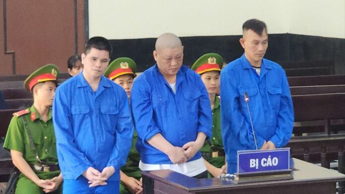 Cảnh Giác Cao Độ: Thủ Đoạn Lừa Đảo Sầu Riêng Tinh Vi Của Tài Xế Container