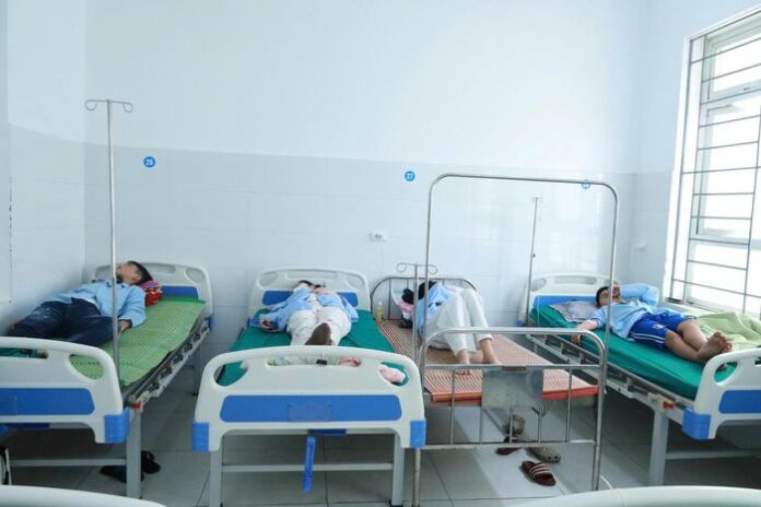 Vụ Ngộ Độc Bánh Mì Nghệ An: Bài Học Đắt Giá Về An Toàn Thực Phẩm