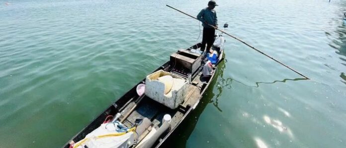 Nghiêm cấm đánh bắt thủy sản bằng kích điện: Cảnh báo và Giải pháp