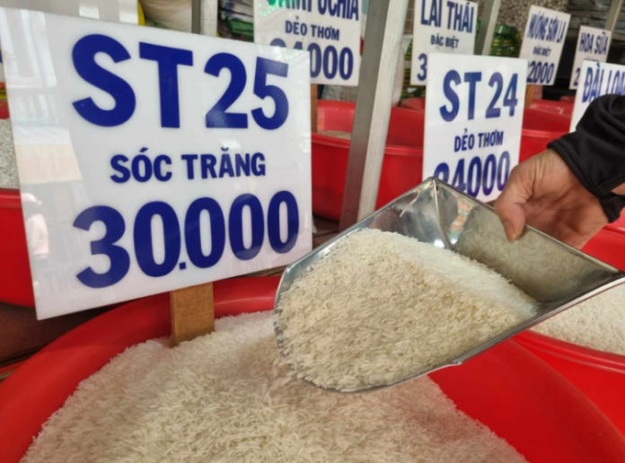 Giá lúa gạo hôm nay 14/4/2026: Biến động nhẹ, hướng đi nào cho nông sản Việt?