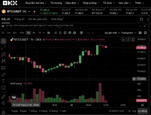 Bitcoin và áp lực từ "chính sách tiền tệ": Liệu có bão lớn sắp đến? 