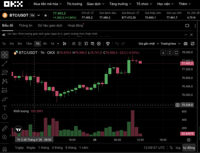 Bitcoin và áp lực từ 