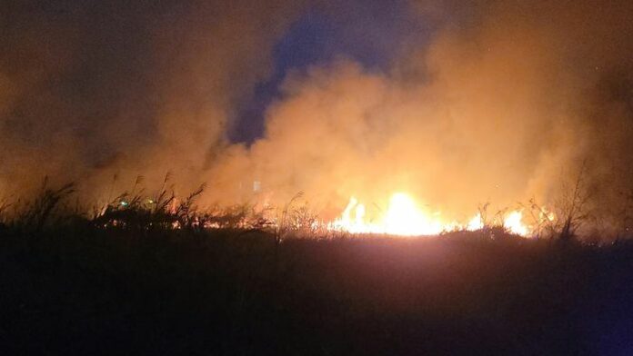 Cháy Cỏ Sậy 1,5 Ha Tại Tây Ninh: Bài Học Đắt Giá Về Phòng Cháy