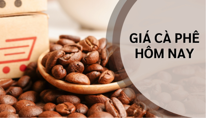 Cập Nhật Giá Cà Phê, Hồ Tiêu Ngày 15/4/2026: Sắc Xanh Quay Trở Lại