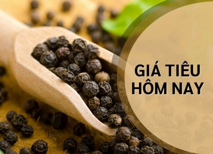 Biến Động Thị Trường Tiêu Cà Phê 4/5: Cơ Hội Và Thách Thức